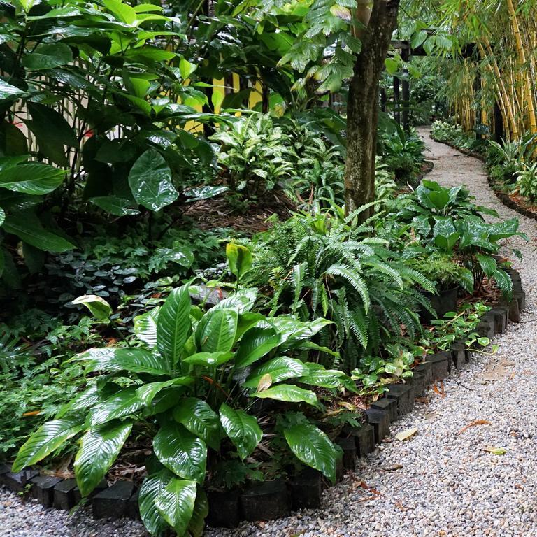 Jacana Amazon Wellness Resort Paramaribo Kültér fotó