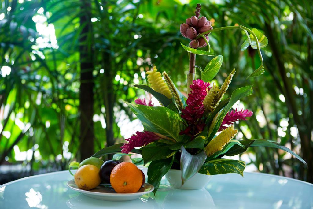 Jacana Amazon Wellness Resort Paramaribo Kültér fotó